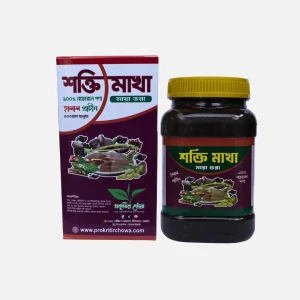 Shakti Makha Premium Course